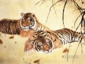 Tiger Bilder  die chinesische